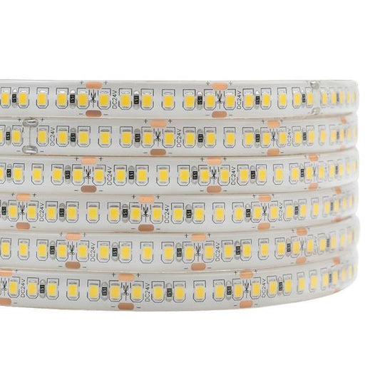 TIRA LED 2835-120D-8MM BLANCA  10M